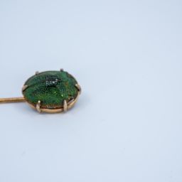 Scarabäus Krawattennadel